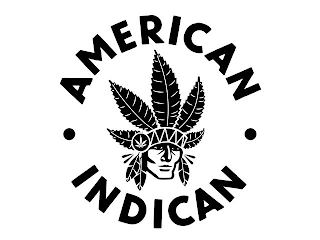 AMERICAN INDICAN logo