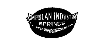 AMERICAN INDUSTRY SPRINGS logo