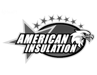 AMERICAN INSULATION logo