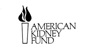 AMERICAN KIDNEY FUND logo