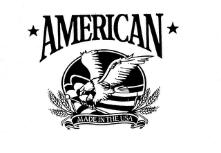 AMERICAN MADE IN THE USA logo
