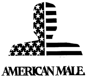 AMERICAN MALE logo