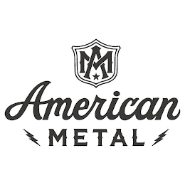 AMERICAN METAL logo