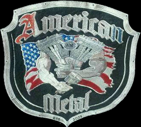 AMERICAN METAL AM EST 2009 logo