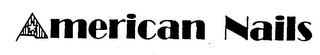 AMERICAN NAILS logo