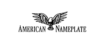 AMERICAN NAMEPLATE logo