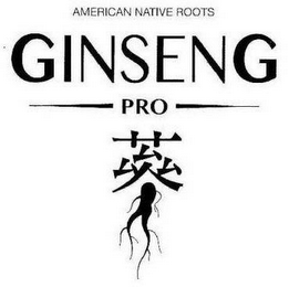 AMERICAN NATIVE ROOTS GINSENG PRO logo