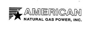 AMERICAN NATURAL GAS POWER, INC. logo