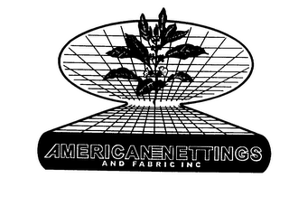 AMERICAN-NETTINGS AND FABRIC INC logo