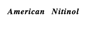 AMERICAN NITINOL logo