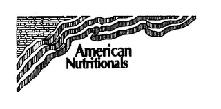 AMERICAN NUTRITIONALS logo