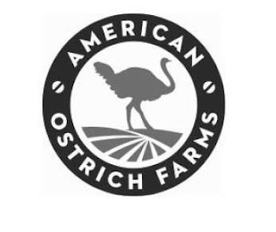 AMERICAN OSTRICH FARMS logo