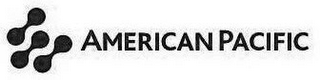 AMERICAN PACIFIC logo