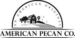 AMERICAN PECAN CO. AN AMERICAN ORIGINAL logo