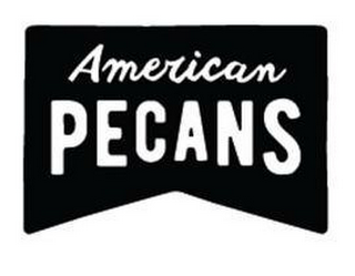 AMERICAN PECANS logo