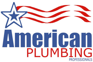 AMERICAN PLUMBING PROFESSIONALS logo