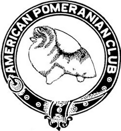 AMERICAN POMERANIAN CLUB logo