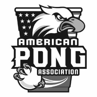 AMERICAN PONG ASSOCIATION logo