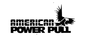 AMERICAN POWER PULL logo