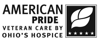 AMERICAN PRIDE VETERAN CARE BY OHIO'S HOSPICE logo
