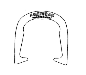 AMERICAN PROFESSIONAL logo