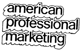 AMERICAN PROFESSIONAL MARKETING logo
