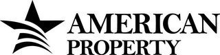AMERICAN PROPERTY logo