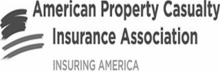 AMERICAN PROPERTY CASUALTY INSURANCE ASSOCIATION INSURING AMERICA logo
