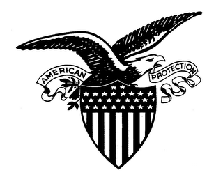 AMERICAN PROTECTION logo
