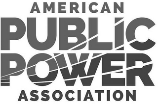AMERICAN PUBLIC POWER ASSOCIATION logo