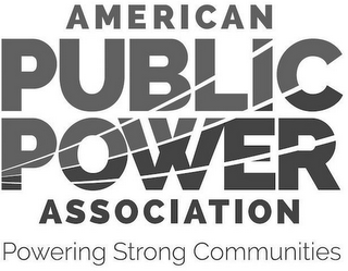 AMERICAN PUBLIC POWER ASSOCIATION POWERING STRONG COMMUNITIES logo