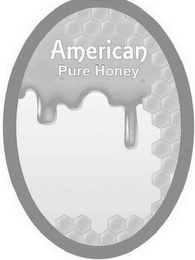 AMERICAN PURE HONEY logo