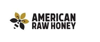 AMERICAN RAW HONEY logo