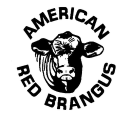 AMERICAN RED BRANGUS logo