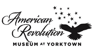 AMERICAN REVOLUTION MUSEUM AT YORKTOWN logo