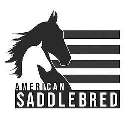 AMERICAN SADDLEBRED logo