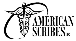 AMERICAN SCRIBES LLC logo