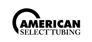 AMERICAN SELECT TUBING logo