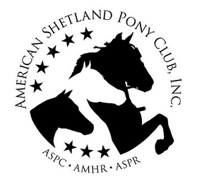 AMERICAN SHETLAND PONY CLUB, INC. ASPC · AMHR · ASPR logo