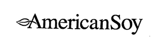 AMERICAN SOY logo