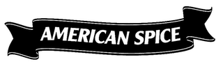 AMERICAN SPICE logo