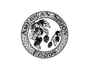 AMERICAN SPOON FOODS logo