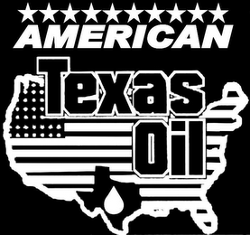 AMERICAN TEXAS OIL logo