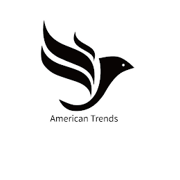 AMERICAN TRENDS logo