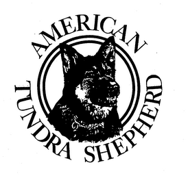 AMERICAN TUNDRA SHEPHERD logo