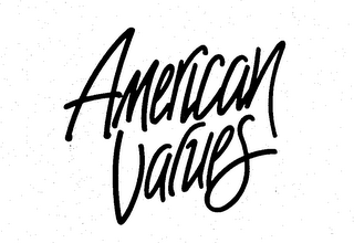 AMERICAN VALUES logo