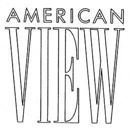 AMERICAN VIEW logo
