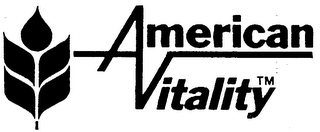 AMERICAN VITALITY logo