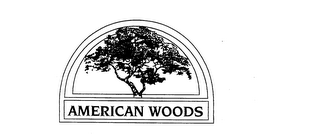 AMERICAN WOODS logo