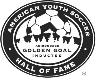 AMERICAN YOUTH SOCCER HALL OF FAME ADIRONDACK GOLDEN GOAL INDUCTEE logo